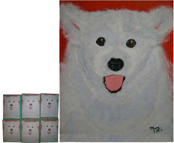 16" x 20" Package