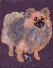 Gizmo