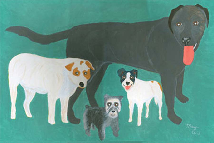 Lucy, Josie, Kricket, and Mamie