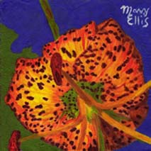 Tiger Lily